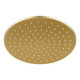 250mm Light Brushed Brass Shower Head