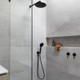 Black 5 Functions Handheld Shower