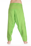 Kiwi Green Back Kiwi Green Back