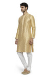 Ethnix Men's Mandarin Collar Festive Gold Collection Kurta Pajama 2-piece set Ethnix Men's Mandarin Collar Festive Gold Collection Kurta Pajama 2-piece set