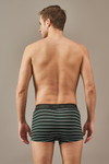 Men's Essentials - Luxe Premium Cotton Striped Trunks - Forest Noir