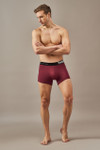 Men's Essentials - Classic Premium Modal Trunks - Pack of 3 - Emerald, Maroon and Navy