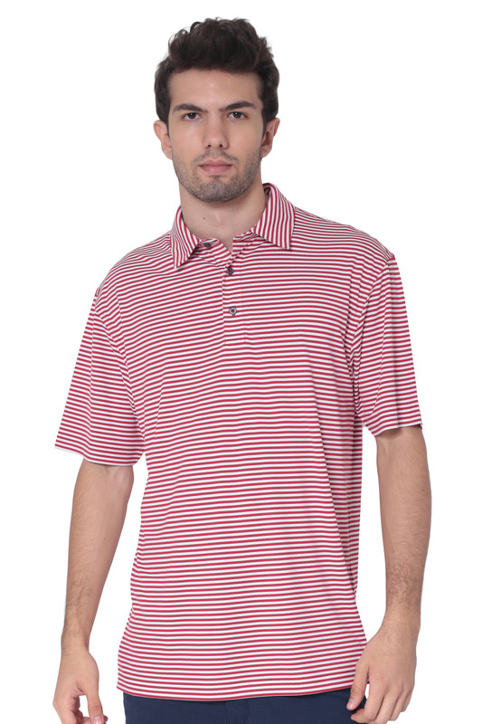 AVA Athletica Men's Polo Collar Moisture-Wick Active Wear Fine Striped T-Shirt Red