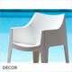 Coccolona Dining Chair in Technopolymer - In Designer Neutral Tones - Décor for Business