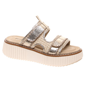 260 Gold (Main view) 260 Gold (Main view)