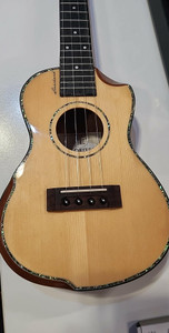 Electric Acoustic Ukulele