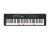 Casio LK-S450
