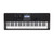 CASIO CTX800 KEYBOARD ARRANGER KEYBOARD
