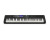 Casio CT-S500 Keyboard