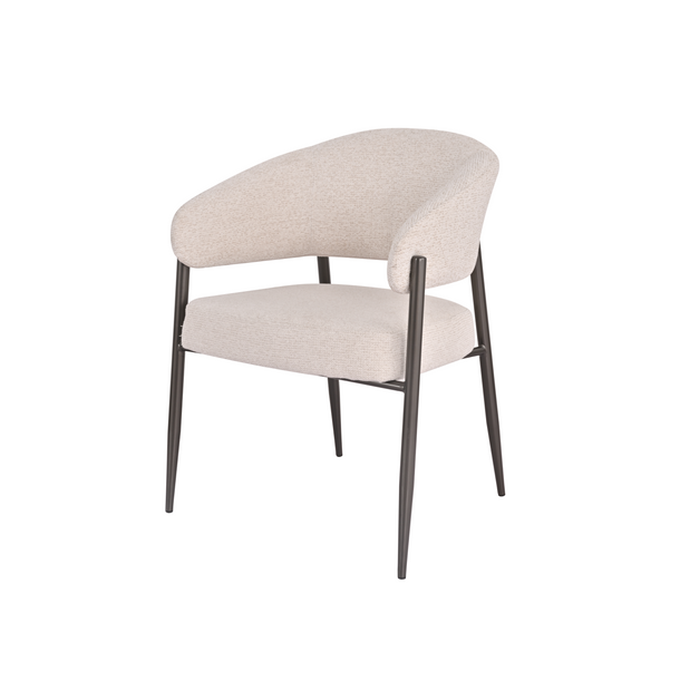 Naxos Dining Chair - Angled Image Naxos Dining Chair - Angled Image