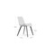 Dover Dining Chair White dimensions