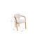 Theodore Dining Chair dimensions Theodore Dining Chair dimensions