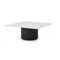Domus Marble Coffee Table - rotated side