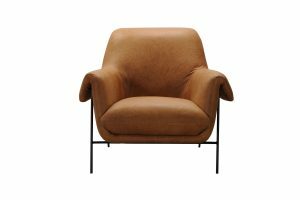 Arm Chairs & Occasional Chairs