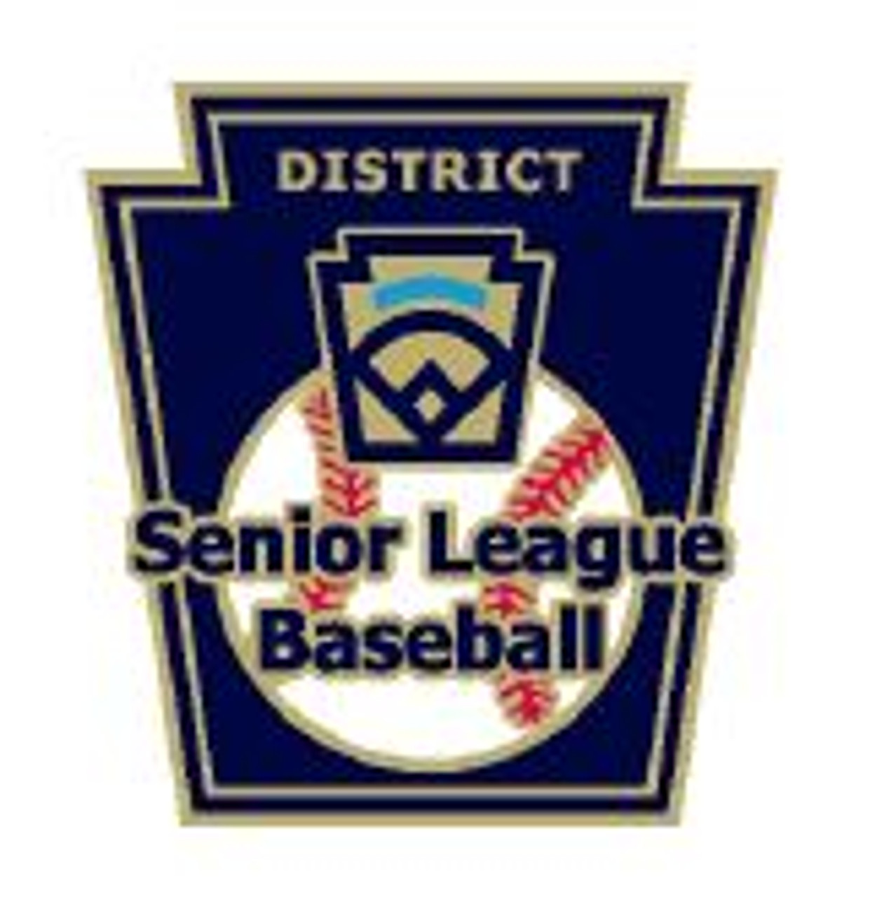 Senior League Baseball District Pin Little League Official Store