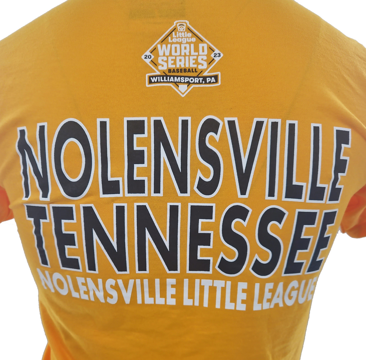 Tennessee - Little League