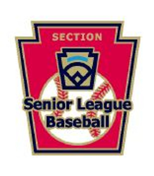 Senior League Baseball Section Pin View Product Image