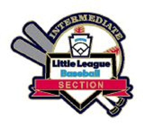 Intermediate Division Baseball Section Pin View Product Image