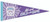 Little League WE ARE Girls with Game Pennant View Product Image