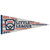 Little League Vintage EST. 1939 Pennant View Product Image