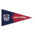 Little League Baseball World Series Felt Pennant Magnet View Product Image