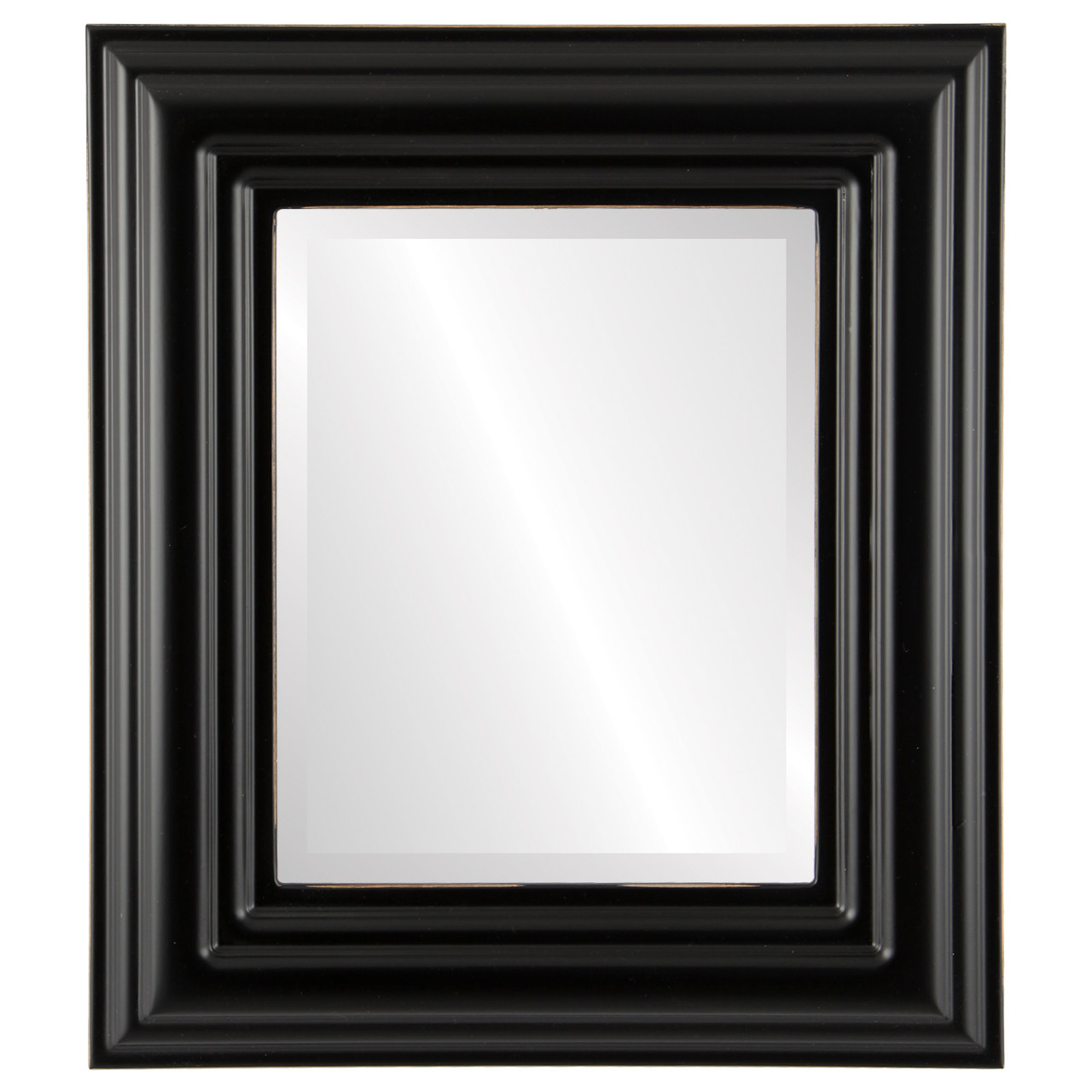Contemporary Black Rectangle Mirrors from $0 | Free Shipping