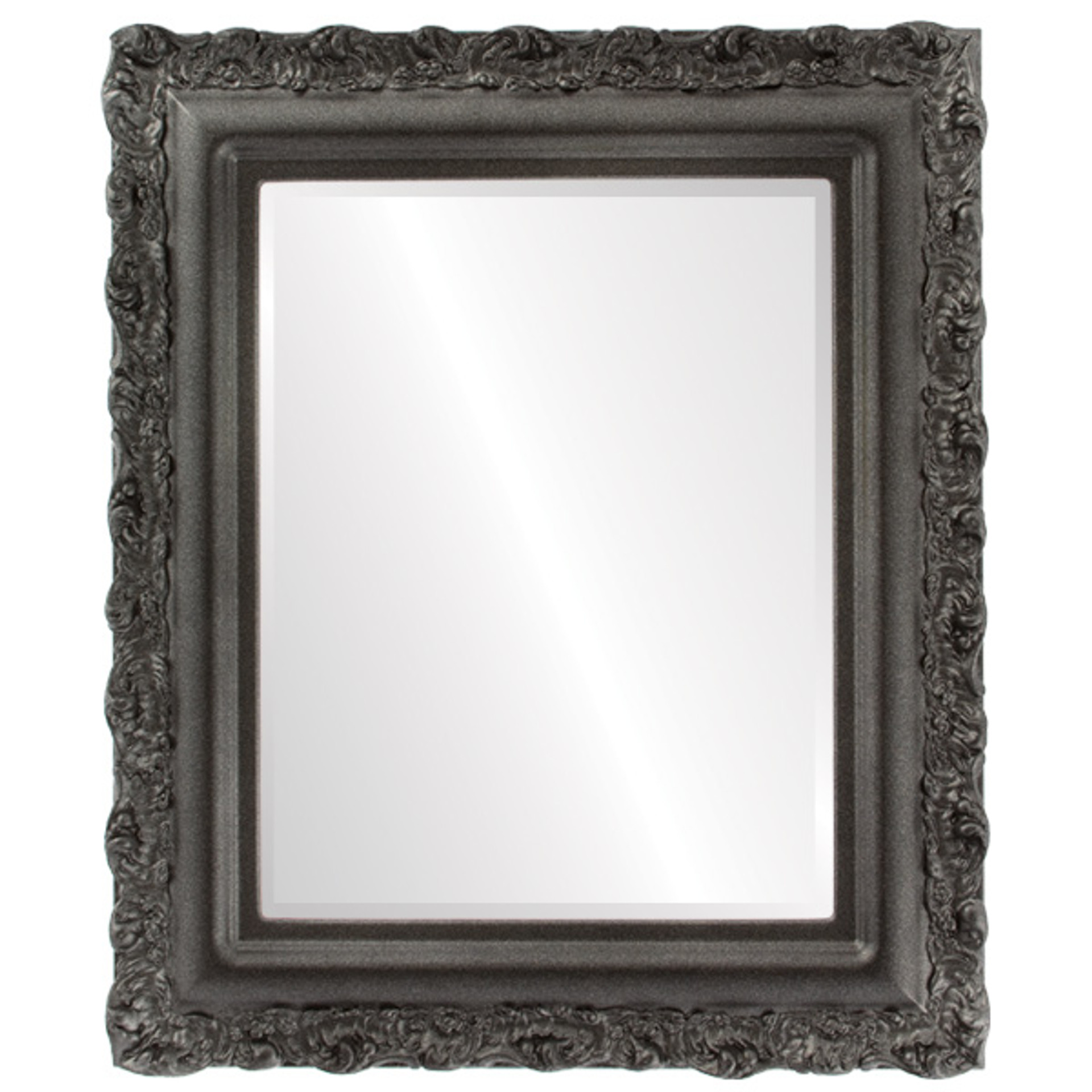 Venice Rectangle Framed Mirror Champagne SilverOVALCREST