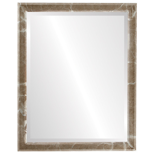 Beveled Mirror - Toronto Rectangle Frame - Champagne Silver