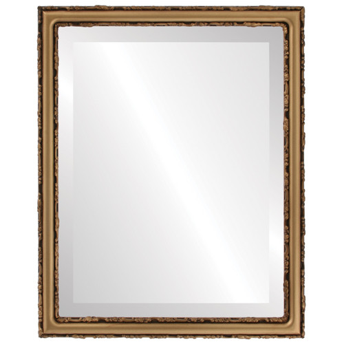 Beveled Mirror - Virginia Rectangle Frame - Desert Gold