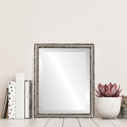Lifestyle - Virginia Rectangle Frame - Silver Leaf with Brown Antique