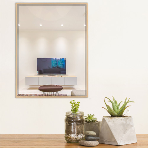 Lifestyle 1 - Singapore Framed Rectangle Mirror - Gold Paint