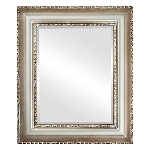 Beveled Mirror - Somerset Rectangle Frame - Silver Shade