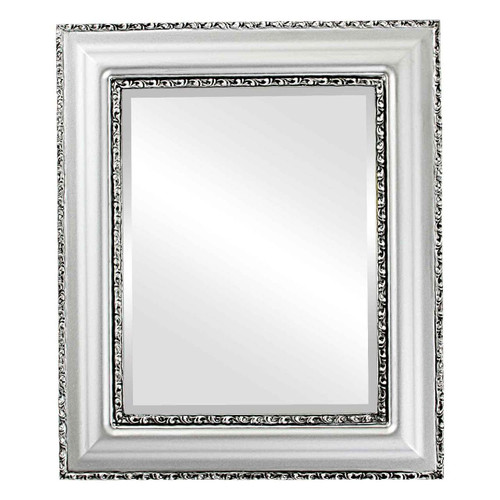 Beveled Mirror - Somerset Rectangle Frame - Silver Spray