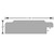 Montreal Oval - Profile Drawing