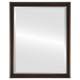 Beveled Mirror - Toronto Rectangle Frame - Rubbed Bronze