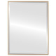 Singapore Framed Rectangle Mirror - Gold Spray