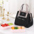 Large Lunch Bag Women Waterproof Concise Convenient Fresh Cooler Bags Thermal Breakfast Food Box Portable Picnic Travel Food Bag