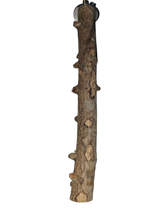 Natural Knotted Wooden Bird Perch