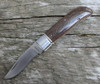 Phil Jacobs Mammoth Ivory Trapper Knife