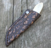 Arno Bernard Custom Meerkat Warthog Tusk Knife (2.37" Satin)