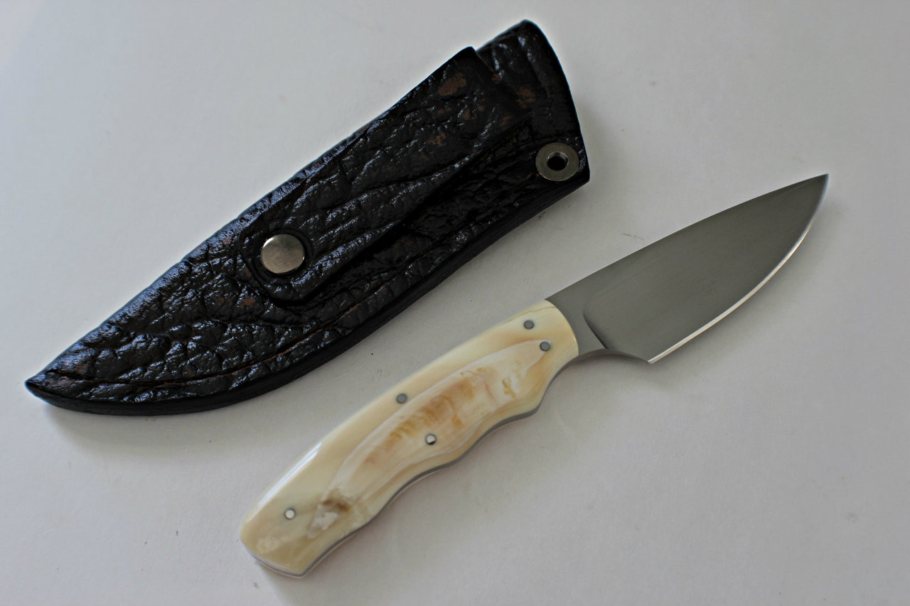 Arno Bernard Squirrel Fixed Blade With Warthog Ivory Handles
