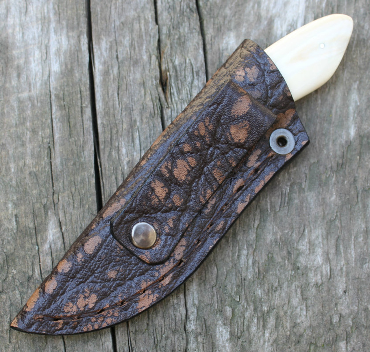 Arno Bernard Custom Meerkat Warthog Tusk Knife (2.37" Satin)