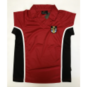 Robert Sutton Girls PE Polo Shirt (Senior)