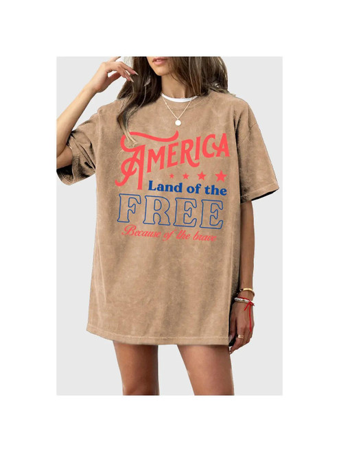 America Land of the Free Mineral Graphic Tee