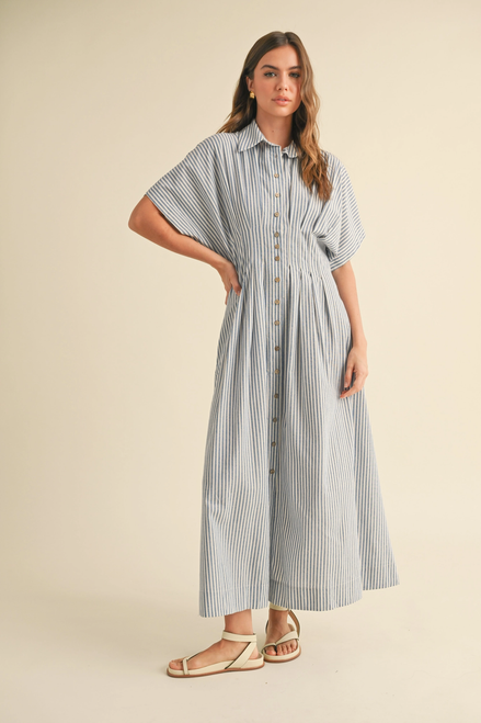 Striped Buttondown Shirt Dress - Blue Stripe