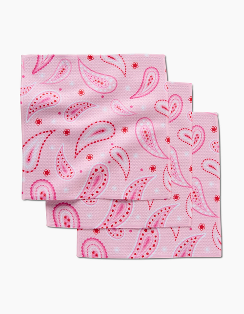 Sweet Paisley Dishcloth Set