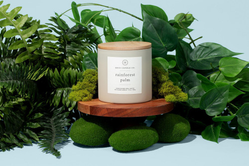 Rainforest Palm - 14oz. Candle