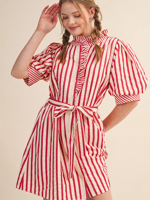 Striped Ruffled Button Down Mini Dress - BERRY RED SRTIPE