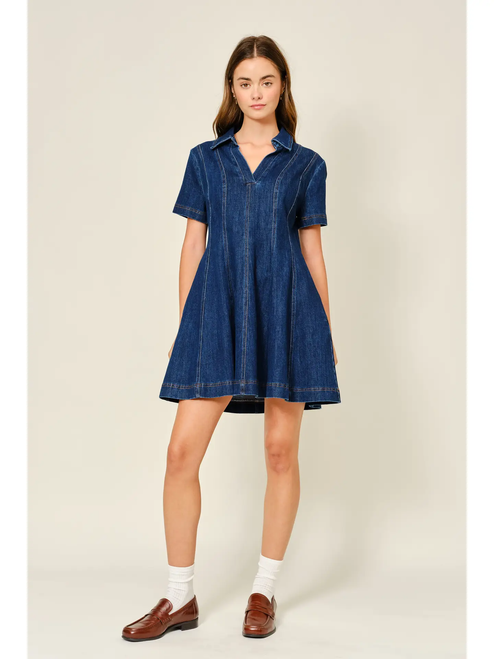 Dart Denim Short Sleeve A Line Dress