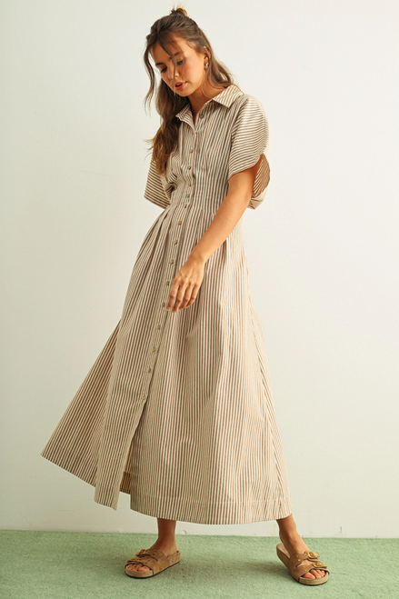 Striped Buttondown Shirt Dress - Brown Stripe